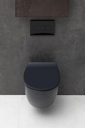 Allen Brau Чаша подвесного унитаза Fantasy 4.11004.31 чёрный матовый – фотография-13