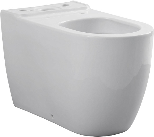 Allen Brau Унитаз напольный Priority 4.31003.20 белый – фотография-8