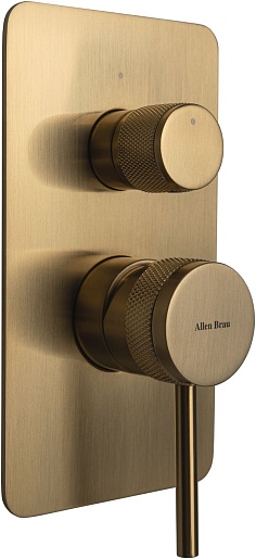 Allen Brau Смеситель для ванны Priority 5.31011-GB (с внутренней частью, 2 выхода) золото – фото-1