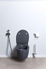 Allen Brau Унитаз подвесной Fantasy 4.11004.AN антрацит с крышкой 4.11005.AN – фотография-23