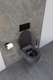 Allen Brau Чаша подвесного унитаза Priority 4.31002.AN антрацит – фотография-17