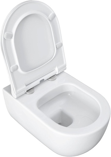 Allen Brau Чаша подвесного унитаза Priority 4.31001.20 белый глянец – картинка-17