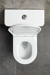 Allen Brau Чаша напольного унитаза Priority Tornado 4.31006.20 белый глянец – фотография-2