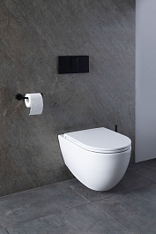 Allen Brau Унитаз с инсталляцией Reality 4.32006.20/8.9466.0.000.000.1 белый глянец – фотография-17