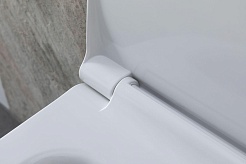 Allen Brau Унитаз подвесной Priority 4.31002.20 белый глянец с крышкой 4.31004.20 – фотография-22