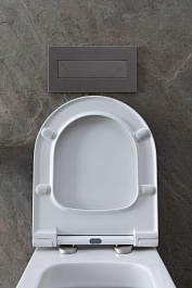 Allen Brau Унитаз подвесной Priority 4.31002.20 белый глянец с крышкой 4.31004.20 – фотография-23