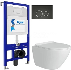 Teymi Унитаз подвесной Lina Pro T40112 с инсталляцией Aina T70011 с кнопкой Lina T70105 – фотография-1