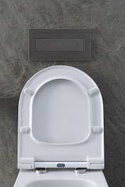 Allen Brau Унитаз с инсталляцией Priority 4.31002.20/8.9466.0.000.000.1 белый глянец – фотография-5