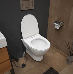 Teymi Унитаз подвесной Ritta T40809 – фотография-4