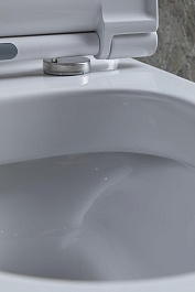 Allen Brau Чаша напольного унитаза Priority 4.31003.20 белый – фотография-23