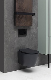 Allen Brau Чаша подвесного унитаза Fantasy 4.11004.31 чёрный матовый – фотография-11