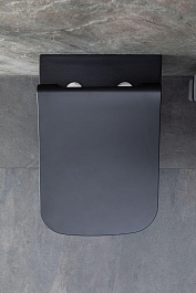 Allen Brau Унитаз подвесной Infinity 4.21011.31 чёрный матовый с крышкой 4.21014.AN – фотография-22