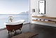 BelBagno Акриловая ванна BB04-ROS-ORO, ножки BB-LEG-LION-ORO – картинка-7