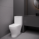 Stella Polare Унитаз-моноблок напольный Адамус KN2245000 белый – фотография-5