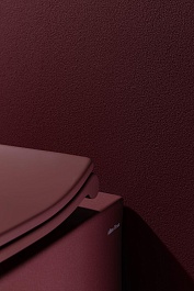 Allen Brau Унитаз подвесной Fantasy 4.11004.BD бордо с крышкой 4.11005.BD – фотография-19