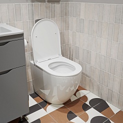 Vivon Унитаз приставной Olkott PRWH01 безободковый с быстросъёмный сиденьем микролифт – фотография-4