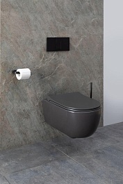 Allen Brau Чаша подвесного унитаза Priority 4.31001.AN антрацит – фотография-24