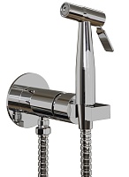 Paini Смеситель для биде с гигиеническим душем Castello CACR442R встраиваемый, хром