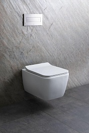 Allen Brau Унитаз подвесной Liberty 4.33007.21 белый матовый с крышкой 4.33008.21 – фотография-23