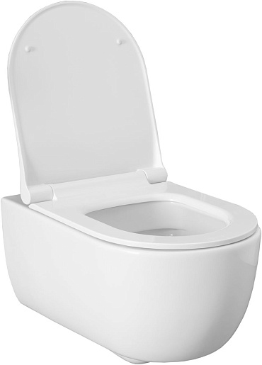 Allen Brau Чаша подвесного унитаза Priority 4.31001.20 белый глянец – картинка-13