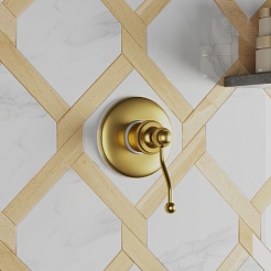 Paini Смеситель для душа Duomo 88PJ690 встраиваемый, брашированное золото – фотография-2