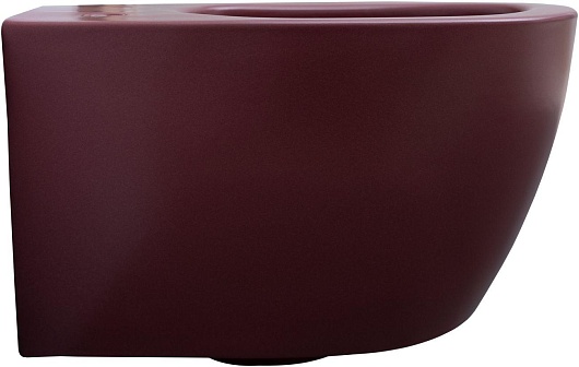 Allen Brau Чаша подвесного унитаза Fantasy 4.11004.BD бордо – картинка-7