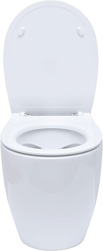 Allen Brau Чаша приставного унитаза Fantasy 4.11007.20 белый глянец – картинка-11