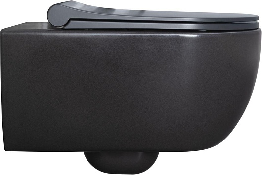 Allen Brau Чаша подвесного унитаза Priority 4.31001.AN антрацит – картинка-7