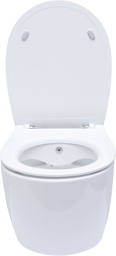 Allen Brau Чаша подвесного унитаза Fantasy 4.11HC1.20 белый глянец – фотография-20