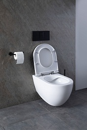 Allen Brau Унитаз с инсталляцией Reality 4.32006.20/8.9466.0.000.000.1 белый глянец – фотография-16