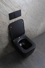 Allen Brau Чаша подвесного унитаза Liberty 4.33007.31 чёрный матовый – фотография-26