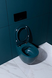 Allen Brau Чаша подвесного унитаза Fantasy 4.11004.PT петроль – фотография-16