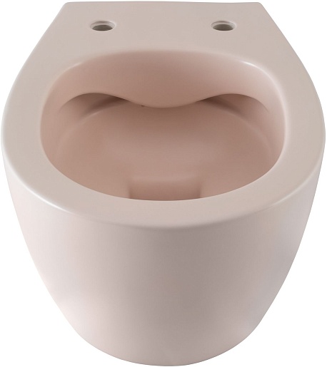 Allen Brau Унитаз подвесной Fantasy 4.11004.SM розовый с крышкой 4.11005.SM – фотография-14
