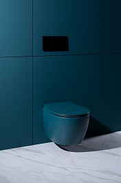 Allen Brau Чаша подвесного унитаза Fantasy 4.11004.PT петроль – фотография-11