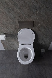 Allen Brau Чаша подвесного унитаза Fantasy 4.11HC1.20 белый глянец – фотография-8