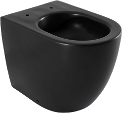 Allen Brau Чаша приставного унитаза Fantasy 4.32004.31 чёрный матовый – фотография-11