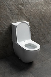 Allen Brau Чаша напольного унитаза Priority Tornado 4.31006.20 белый глянец – фотография-5