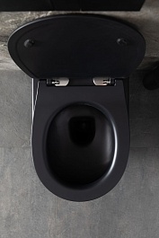 Allen Brau Унитаз подвесной Reality 4.32006.31 чёрный матовый с крышкой 4.32007.31 – фотография-4