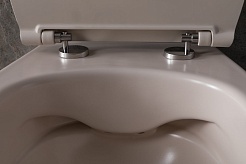 Allen Brau Чаша подвесного унитаза Fantasy 4.11004.IV айвори – фотография-10