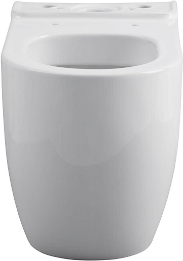 Allen Brau Чаша напольного унитаза Priority 4.31003.20 белый – фотография-2