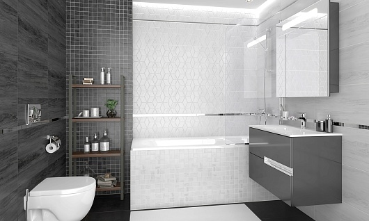 0 Forest - фотография