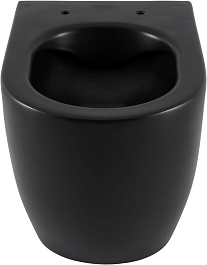 Allen Brau Чаша приставного унитаза Fantasy 4.32004.31 чёрный матовый – фотография-12