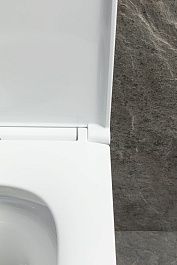 Allen Brau Унитаз подвесной Priority 4.31009.20 белый глянец с крышкой 4.31011.20 – фотография-10