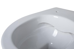 Allen Brau Чаша приставного унитаза Fantasy 4.11007.20 белый глянец – фотография-13