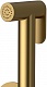 Raiber Гигиенический душ Graceful RPG-009 со встраиваемым смесителем золото матовое – картинка-7