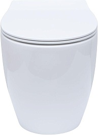 Allen Brau Чаша приставного унитаза Fantasy 4.11007.20 белый глянец – фотография-14