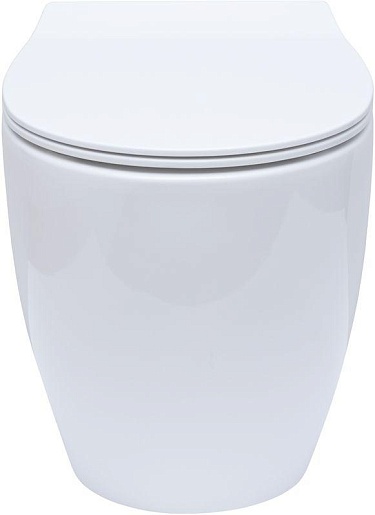 Allen Brau Чаша приставного унитаза Fantasy 4.11007.20 белый глянец – фотография-14