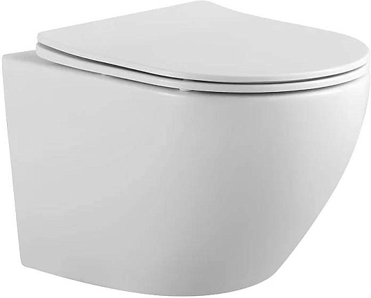 Aquatek Унитаз подвесной Европа AQ1901-00 – фото, картинка, фотография-1