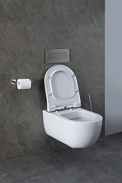 Allen Brau Унитаз с инсталляцией Priority 4.31002.20/8.9466.0.000.000.1 белый глянец – фотография-12