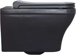Allen Brau Унитаз подвесной Infinity 4.21011.AN антрацит с крышкой 4.21014.AN – фотография-13